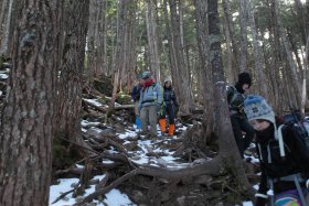 白駒池へ向けて下山