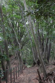 瑞泉寺への分岐