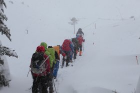 一面雪景色