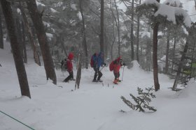 樹林帯