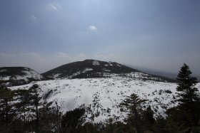 坪庭から見た縞枯山