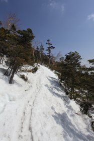 圧雪の上