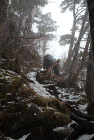 急な登山道