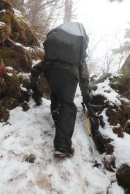 急な登山道