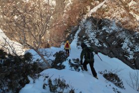 雪に覆われた斜面