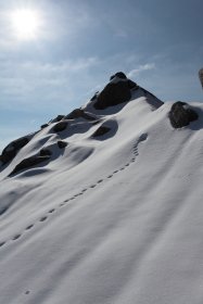 雪の跡