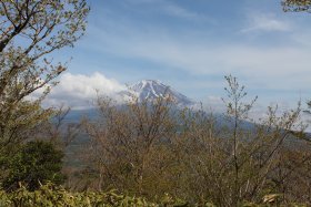 展望台からの富士山