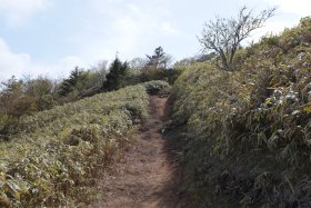 気持ちの良い登山道