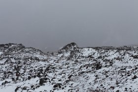 夏道の登山道