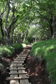 見晴らし台への登山道