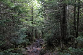 麦草峠へ向けて