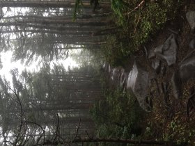 中山への登山道