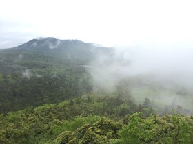 白駒池と縞枯山