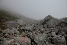 浄土山への登山道