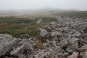 浄土山