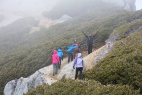 登山道にて