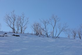 真っ白なゲレンデと青空