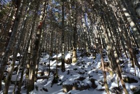 中山峠へ向けて