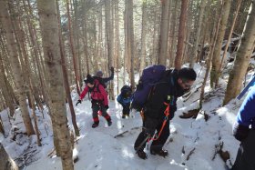 整備された登山道