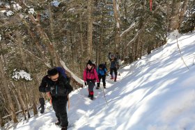 ジグザグの登山道