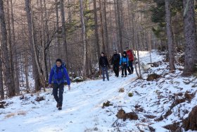 凍結した登山道