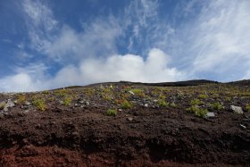 山頂は穏やかないいお天気