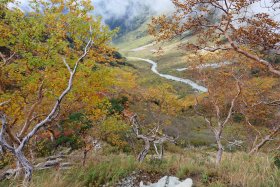 岳沢の紅葉