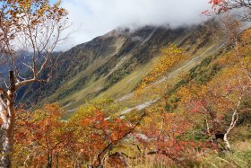 岳沢の紅葉