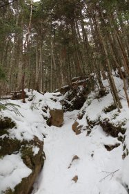 細い登山道