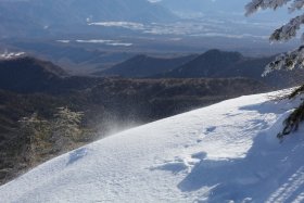 風に舞う雪