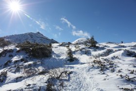 天狗の奥庭と天狗岳