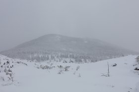 坪庭と縞枯山