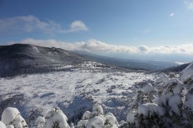 坪庭と縞枯山