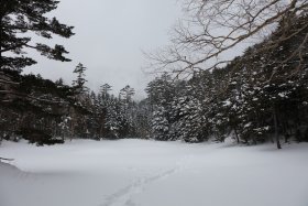 みどり池