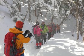 陽の光と風に舞う雪