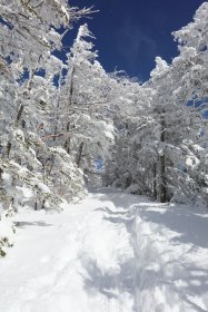 青空と雪