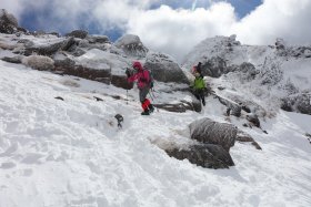 東天狗岳からの下山