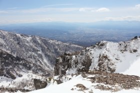 トーミの頭の直下