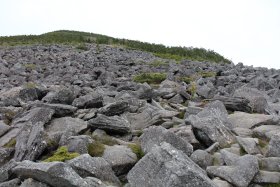 網笠山へ