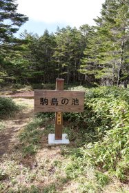 駒鳥の池