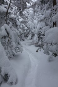 雨池山付近