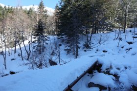 降り積もった雪