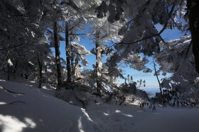 青空