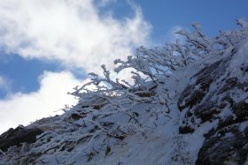 樹氷と虹色の雲