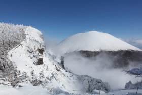 トーミの頭へ