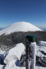 トーミの頭