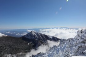 雲海