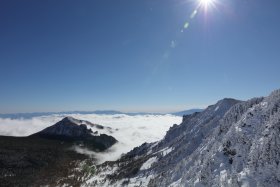 黒斑山と富士山と雲海