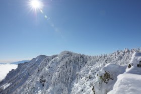 青空と太陽と樹氷