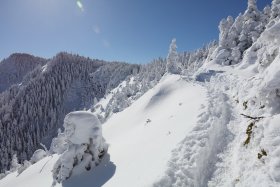 黒斑山へ